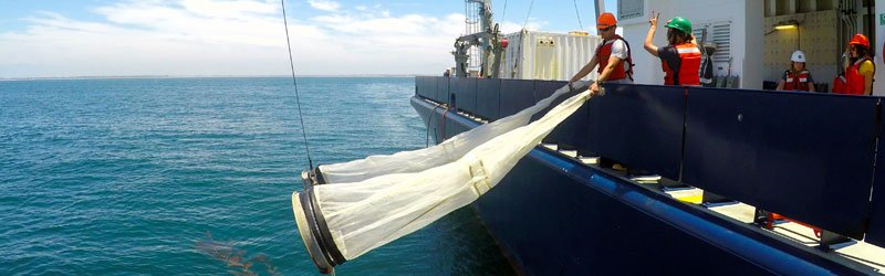 1806SR_BongoDeployment.jpg