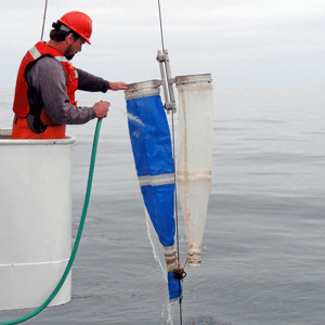 Pairovet vertically towed net